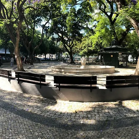 99 Flowers Flat Lisbon